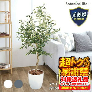 yӂ邳Ɣ[ŁztFCNO[ I[u 150cm G}H t CeA R L m Ls  58000~