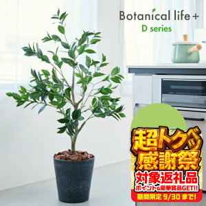 yӂ邳Ɣ[ŁztFCNO[ Botanical life+ DV[Y [G 120cm G}H t CeA R L m Ls  52000~