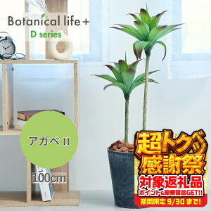 yӂ邳Ɣ[ŁztFCNO[ Botanical life+ DV[Y AKxII 100cm G}H t CeA R L m Ls  47000~