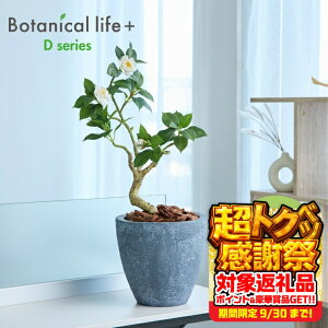 yӂ邳Ɣ[ŁztFCNO[ Botanical life+ DV[Y coL 60cm G}H t CeA R L m Ls  35000~