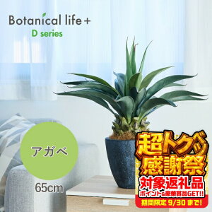 yӂ邳Ɣ[ŁztFCNO[ Botanical life+ DV[Y AKx 65cm G}H t CeA R L m Ls  41000~