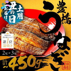【ふるさと納税】★4.6 指定日OK! 国産 うなぎ 蒲焼 土用の丑の日 2尾 3尾 ~450g 夏目商店 蒲焼 国産うなぎ 海鮮 ウナギ 鰻 長蒲焼 年内発送 年内配送 年内 発送時期が選べる 豊橋うなぎ 冷凍 母の日 父の日 丑の日 惣菜 unagi まだ間に合う 期間限定 愛知 豊橋市