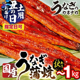 【ふるさと納税】訳あり 国産 うなぎ ~10尾 ~1キロ 蒲焼 うなぎ 愛知県 三河 宮崎 静岡 産地 おまかせ 尾数 不揃い 2尾 3尾 4尾 5尾 6尾 8尾 10尾 長蒲焼 冷凍 丑の日 鰻 unagi わけあり 規格外 土用の丑の日 送料無料 豊橋市 豊橋うなぎ