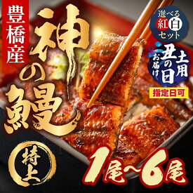【ふるさと納税】豊橋うなぎの新ブランド『神の鰻』1尾〜6尾 国産 特上 選べる 紅白 セット 鰻 うなぎ unagi ウナギ 蒲焼 長蒲焼 国産うなぎ 上 特上 贈答 ギフト 豊橋うなぎ お祝い 白焼き 指定可 土用の丑の日 指定日 カネナカ 1万円 10000円 白焼 鰻 愛知県 豊橋市