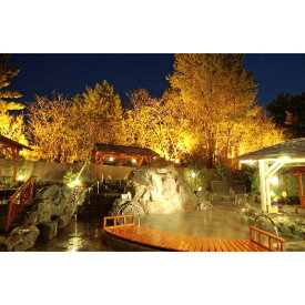 【ふるさと納税】おかざき楽の湯　全日入泉券15枚【1262473】