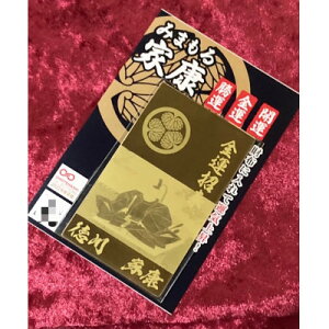 【ふるさと納税】みまもる家康「金運招来」【1383349】
