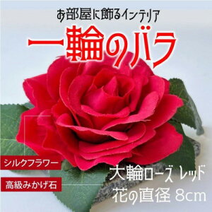 yӂ邳Ɣ[Łz炭΃V[Ywւ̃ox ֐Ԃoy1203296z