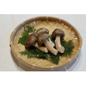 【ふるさと納税】松太郎 家庭用 約300g【配送不可地域:離島】【1441463】