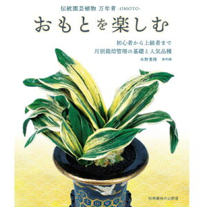 yӂ邳Ɣ[ŁzƍN̉^CグN!@ƍuƐAւ̌@yNv[g!zy1581464z