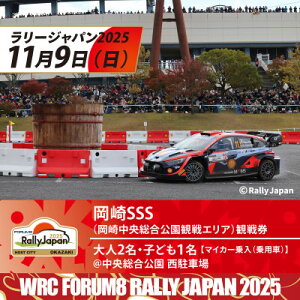 yӂ邳Ɣ[Łz[WpySSSϐ팔/l2+qǂ1 /}CJ[(p)@ԏzy1639990z