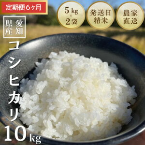 【ふるさと納税】【毎月定期便】10kg(5kg×2袋)×6ヶ月 農家直送!低農薬コシヒカリ全6回【4074393】