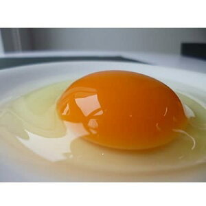 yӂ邳Ɣ[Łzunuhvec}EM܂@ZȖ킢܂@40y1200616z