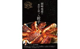 【ふるさと納税】 餃子 岡崎餃子 25個 2袋 計50個 [グローアップ 愛知県 岡崎市 ok23bzw550000] 餃子 ギョーザ やきぎょうざ 中華料理 ぎょうざ ぎょーざ ギョウザ こだわり餃子 冷凍餃子 簡単調理