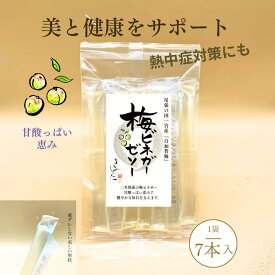 【ふるさと納税】梅ビネガーゼリー