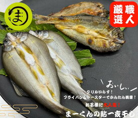 【ふるさと納税】鮎の一夜干し