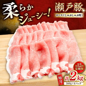 yӂ邳Ɣ[ŁzyS12ցz˓ [XԂԗp 2kg / ؓ  [X Ԃ / ˎs / ։X[BBBQ170]