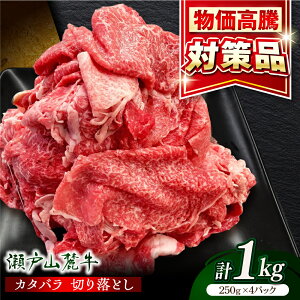 yӂ邳Ɣ[ŁzyIׂ锭zˎR[J^oؗ1kgi250g×4Pj/  Y Ⓚ  / ˎs / ։X[BBBQ025]