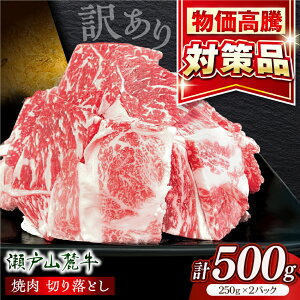 yӂ邳Ɣ[Łzy󂠂zyIׂ锭zˎR[ēpؗ500gi250g×2Pj/   Y Ⓚ / ˎs / ։X[BBBQ047]