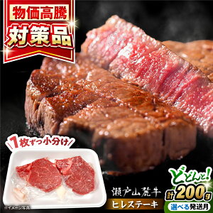 yӂ邳Ɣ[ŁzyIׂ锭z󏭕ʁ@ˎR[ qXe[L 2(100g×2) /  Xe[L Xe[L a q q qXe[L / ˎs / Њ։X[BBBQ055]