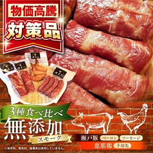 �y�ӂ邳�Ɣ[�Łz���Y�������Z�b�gA (�x�[�R�� �\�[�Z�[�W ��H��) ���v500g�ȏ� / ���� �{�� �ؓ� �X���[�N ���܂� / ���ˎs / �V�C[BBBZ003]