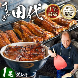 【ふるさと納税】【TVで話題沸騰！】炭火焼き 国産うなぎ 蒲焼 1尾 / うなぎ 鰻 ウナギ 取り寄せ グルメ / 瀬戸市 / うなぎ田代 [BBCA001]
