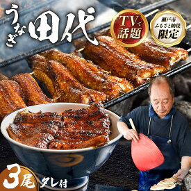 【ふるさと納税】【TVで話題沸騰！】炭火焼き 国産うなぎ 蒲焼 3尾 / うなぎ 鰻 ウナギ 取り寄せ グルメ / 瀬戸市 / うなぎ田代 [BBCA003]