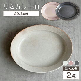 【ふるさと納税】【選べる3色】【瀬戸焼】リムカレー皿 2枚セット【株式会社カネ三商店】 / 皿 食器 カレー皿 ギフト プレゼント / 瀬戸市[BBDD012]