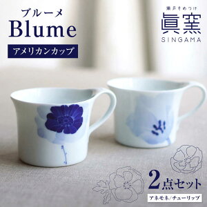 yӂ邳Ɣ[Łzyˏāz u[ AJJbv yA yqz / Jbv ԕ All `[bv[BBDK003]