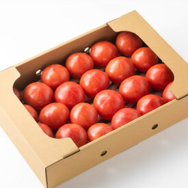 【ふるさと納税】愛知県半田市産ファーストトマト　一箱3キロ以上【1456394】