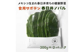 【ふるさと納税】メキシコ生まれ春日井育ちの健康野菜食べるサボテン春日井ノパル300グラム2パック　※2025年4月から順次発送　サボテン 多肉植物 ウチワサボテン 食用サボテン ノパル　野菜　健康
