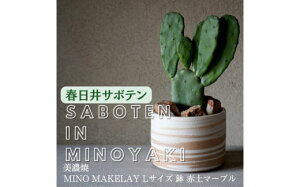 yӂ邳Ɣ[Łzs×tsR{ yZāz MINO MAKELAY LTCY  ԓy}[u × y{L̃T{eYnz ts̖X 㓡T{e