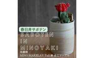 yӂ邳Ɣ[Łzs×tsR{ yZāz MINO MAKELAY Tall  ԓy}[u × y{L̃T{eYnz ts̖X 㓡T{e