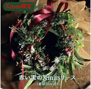 yӂ邳Ɣ[ŁzXmas@NX}X[X 30 NX}X@ 2025N11{菇\