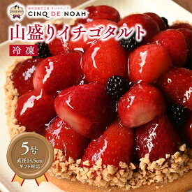 【ふるさと納税】山盛りイチゴタルト【サンクドノア】 | 菓子 スイーツ ケーキ タルト 人気 いちご 苺 イチゴ ギフト クリスマス 誕生日 お祝い ※北海道、沖縄・離島への発送は出来ません ※日付指定不可