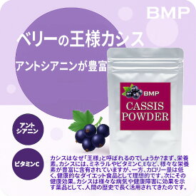【ふるさと納税】【選べる内容量】BMP カシスパウダー100g～3kg（カシス濃縮果汁粉末） ｜ フルーツ 果物 ヘルシー ダイエット 健康 ウェルネス 健康食品 果実 果汁 柑橘 カシス 栄養素 アントシアニン テレビで話題 スーパーフード