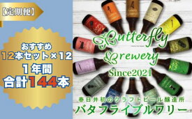 【ふるさと納税】【定期便】楽器シリーズのクラフトビールが毎月1回12本1年間届きます。（計12回） | 飲料 アルコール ビール クラフトビール 乾杯 晩酌 贈り物