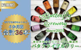 【ふるさと納税】【定期便】楽器シリーズのクラフトビールが毎月1回6本半年間届きます。（計6回） | 飲料 アルコール ビール クラフトビール 乾杯 晩酌 贈り物