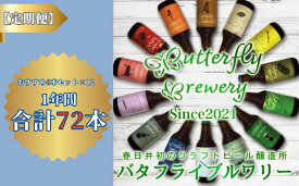 【ふるさと納税】【定期便】楽器シリーズのクラフトビールが毎月1回6本1年間届きます。（計12回） | 飲料 アルコール ビール クラフトビール 乾杯 晩酌 贈り物