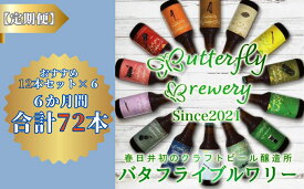 【ふるさと納税】【定期便】楽器シリーズのクラフトビールが毎月1回12本半年間届きます。（計6回） | 飲料 アルコール ビール クラフトビール 乾杯 晩酌 贈り物