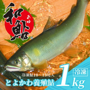 yӂ邳Ɣ[ŁzƂ悩툼 1kg - Igp!y߂izyzsnFzy1289322z
