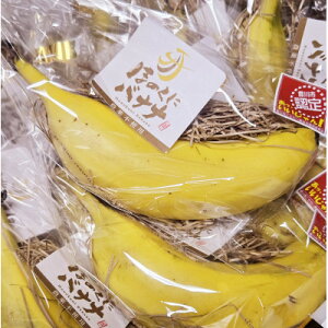 yӂ邳Ɣ[Łzق̂Ƀoii@170gȏ(LL)8{yzsnFzy1641182z