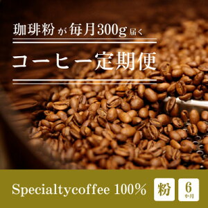 yӂ邳Ɣ[ŁzyցzႤR[q[͂ XyVeBR[q[ (҂) 300gS6y4075099z