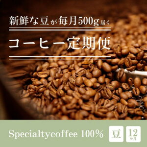 yӂ邳Ɣ[ŁzyցzႤR[q[͂ XyVeBR[q[  500gS12y4076153z