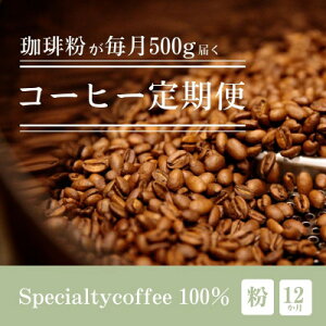 yӂ邳Ɣ[ŁzyցzႤR[q[͂ XyVeBR[q[  500gS12y4076154z