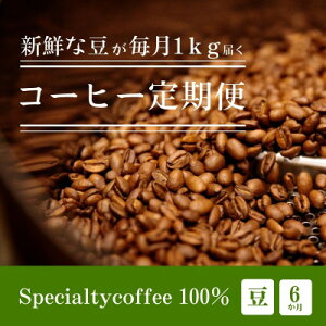 yӂ邳Ɣ[ŁzyցzႤR[q[͂ XyVeBR[q[  1kgS6y4076157z