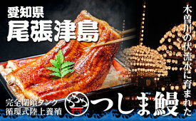 【ふるさと納税】【純国産ウナギ】つしま鰻蒲焼2尾入(300g)