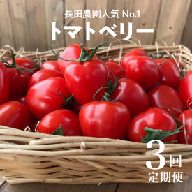 【ふるさと納税】数量限定 ミニトマト 定期便 2kg × 3回 人気 No.1 トマトベリー 4月 〜 6月 毎月 お届け 3回コース 健康 リコピン お取り寄せ お取り寄せグルメ 国産 野菜 食品 産地直送 送料無料