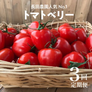 yӂ邳Ɣ[Łzʌ ~jg}g  2kg × 3 lC No.1 g}gx[ 4 ` 6  ͂ 3R[X N Rs  񂹃O Y  Hi Yn 