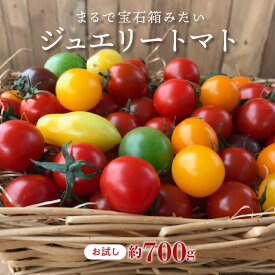 【ふるさと納税】【先行受付】2026年11月から発送 お試し トマト 宝石箱 ジュエリートマト 700g トマトベリー ミニトマト 長田農園 健康 リコピン お取り寄せ お取り寄せグルメ 国産 野菜 新鮮 食品 産地直送 送料無料