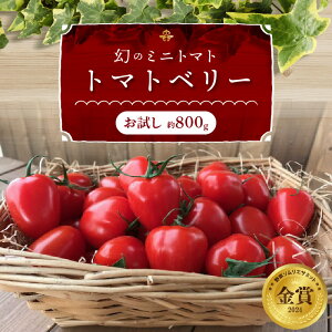 yӂ邳Ɣ[Łz]4.71  g}gx[   800g Â ^ t[c~jg}g ~jg}g g}g ؃\GT~bg    Hׂ₷ S؏n͔| Rs